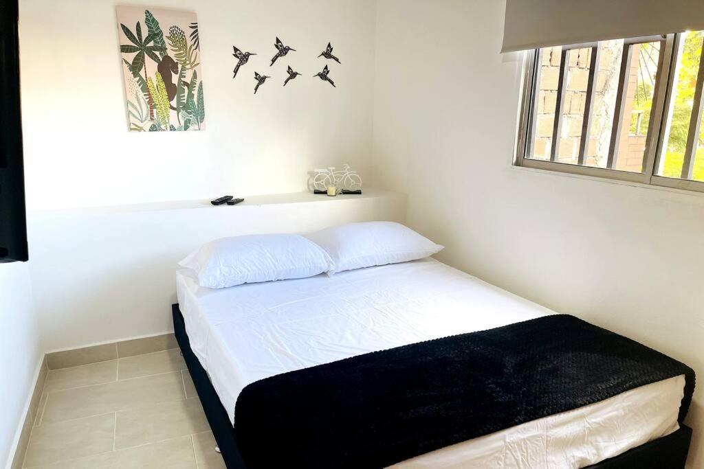 Apartment Acogedor,luz Natural , Agua Caliente ,200 Mbps,central. Medellin